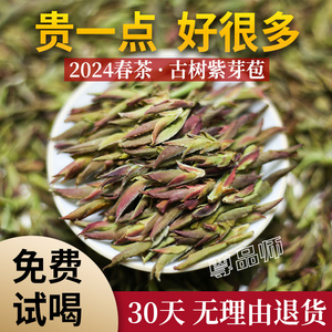 2024云南野生紫芽孢茶大雪山高山雪芽古树茶普洱茶生茶紫芽苞500g