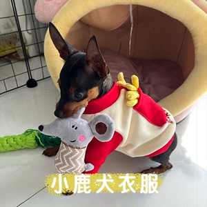 迷你杜宾犬专用衣服小鹿犬吉娃娃可牵引狗狗秋款加厚保暖卫衣宠物