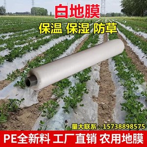 地膜农用白膜育苗60公分宽甘薯草莓玉米种植白的全新料花生薄膜。