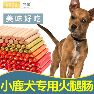 小鹿犬专用零食火腿肠香肠幼犬小型中型宠物狗狗吃的2个月奶狗