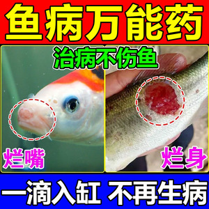 锦鲤鱼病专用药观赏鱼烂尾烂身白点净水霉病专治鱼药万能疾病治疗