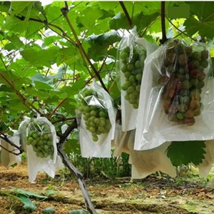 葡萄套袋水果网套桃子专用袋无纺布种植袋防虫防鸟纸袋子莲雾网罩