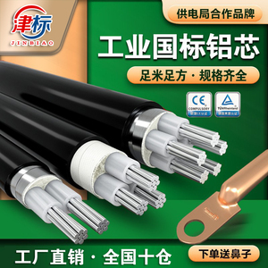 国标铝芯电缆线2 3 4 5芯10 16 25 35平方防老化户外专用铝线电线