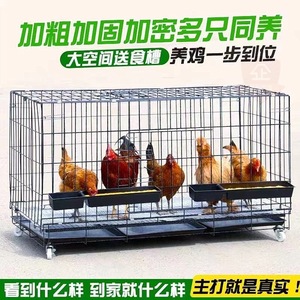鸡窝鸡舍鸡笼兔笼铁丝笼子养鸡笼子大型养殖家用超大号折叠兔笼子