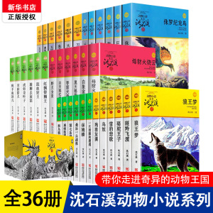 全集36册沈石溪动物小说品藏书系列 狼王梦斑羚飞渡第七条猎狗最后一头战象雪豹悲歌眼镜王蛇正珍藏注音版10-12-15岁小学生课外书