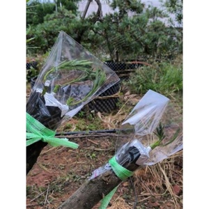 果树嫁接专用套袋桃树龙眼西瓜苗防雨水塑料保护袋子农用工具全套