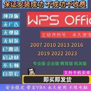 WPS专业企业版2023/19/16/13版本序列号永久激活带vba宏功能插件