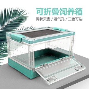 可折叠饲养箱爬宠仓鼠刺猬芦丁鸡守宫蜥蜴宠物塑料保温专用恒温箱