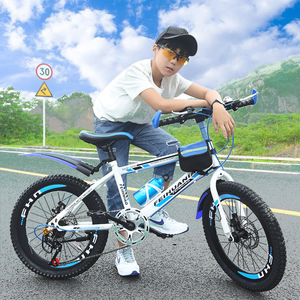 儿童永久凤凰品牌自行车男8-15岁中大童小学生脚踏单车变速山地车
