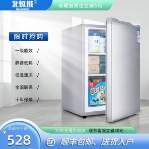 雪糕小冰柜家用小型储奶冰箱母乳专用立式冰柜侧开门全冷冻小冰箱