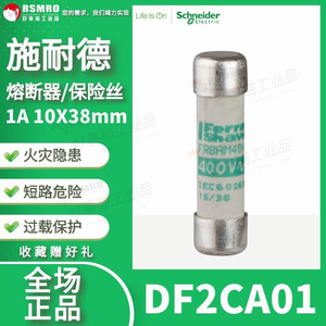 DF2CA01施耐德熔断器保险丝芯子慢熔aM,RT28-32型10X38mm1A,500V