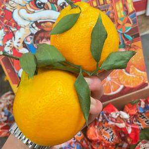 日本品种匠心级金狐狸春见耙耙柑约9斤新鲜橘子整箱纯甜新鲜水果