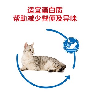 腐败猫猫粮127/s27室内老年猫S高龄猫粮.5kg7岁以上宠物主粮