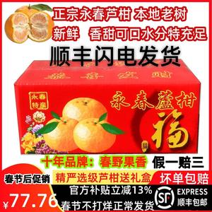 福建水果新鲜正宗永春芦柑80mm特大果椪柑沙糖桔送礼10斤顺丰包邮