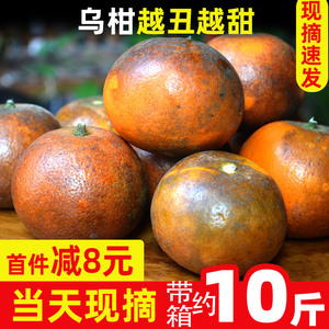 乌柑黑皮沃柑新鲜水果柑橘橙子广西武鸣大果丑柑橘脏脏柑橘10/5斤