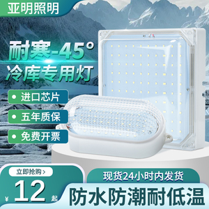 LED冷库专用灯防水防潮防雾吸顶照明10瓦冰柜卫生间阳台低温仓库