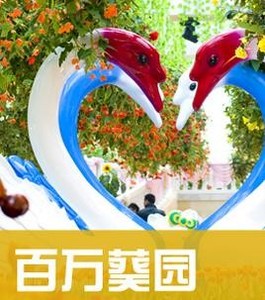 广州百万葵园旅游攻略图2024年自助游自由行指南