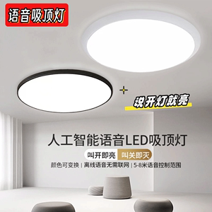 智能LED吸顶灯语音控制客厅灯卧室灯圆形阳台灯说话控制开灯灯具