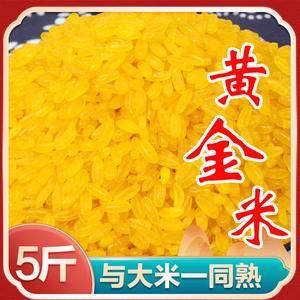 正宗东北黄金米粗粮粘碴渣黏糯玉米做的黄金米10斤非大米五谷特产