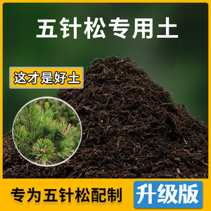 五针松专用土家用种植土壤透气五针松营养土盆栽种花养花有机土