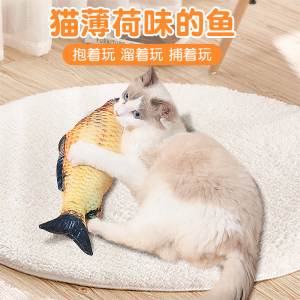 猫咪磨牙玩具真鱼逗猫玩具自嗨猫咪用品猫玩具幼猫玩具鱼逗猫棒