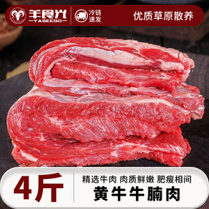 羊食光；牛腩肉新鲜牛肉4斤精修鲜切优质牛腩2斤条冷冻生鲜食材