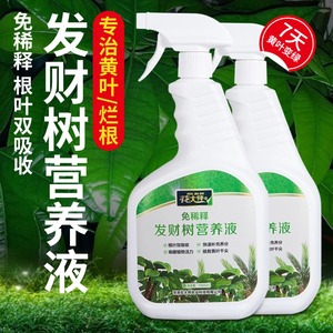 发财树营养液肥料专用肥幸福树巴西木土培绿植通用黄叶烂根免稀释