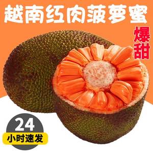 越南红肉菠萝蜜一整个进口品种红心波罗蜜6-18斤当季新鲜水果整箱