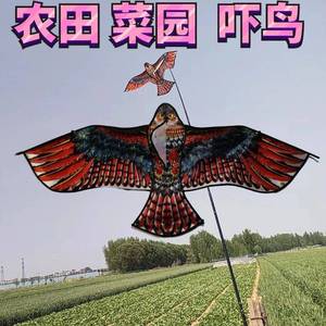 老鹰吓鸟驱鸟装置设备赶鸟神器防鸟猫头鹰瓜地果树田地里仿真工具