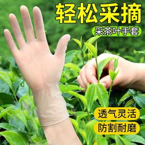 摘茶叶手套一次性高弹加厚超薄无尘神器分拣女高弹性工作干活护指