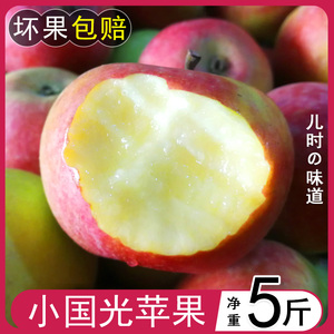 小国光苹果笨果新鲜水果东北国光苹果瓦房店不打蜡不套袋 5斤