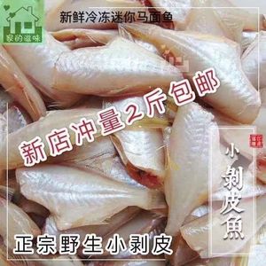 新鲜冷品耗儿鱼扒皮鱼剥皮鱼马面鱼玻璃鱼包冰2斤/包70条左右