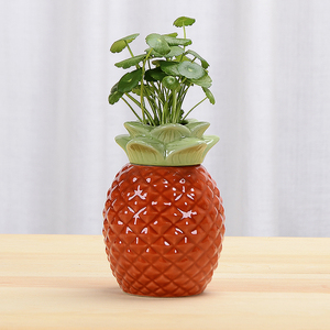 创意菠萝花瓶陶瓷水养绿萝水培花盆柿柿如意北欧客厅桌面装饰摆件