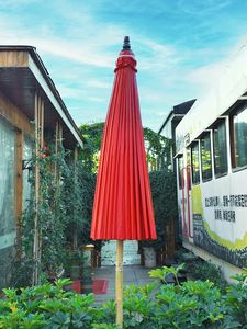泰国户外油纸伞遮阳伞网红别墅遮太阳伞庭院伞室外咖啡厅沙滩折叠