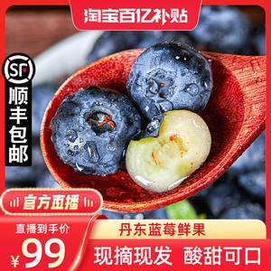 【官方直播】丹东蓝莓鲜果现摘大果新鲜孕妇甜水果