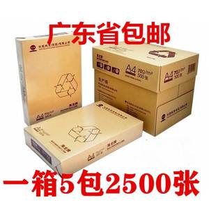 海龙a4打印纸70克 80g复印纸白纸500张玖龙整箱天章草稿纸 包邮