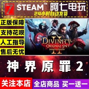 Steam PC正版游戏Divinity: Original Sin 2/神界原罪2 国区礼物