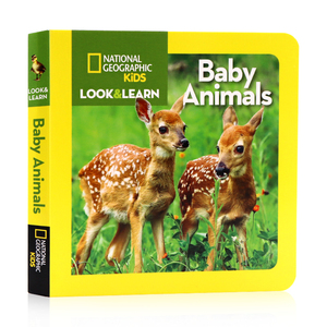 美国国家地理儿童百科书 英文原版National Geographic Little Kids Look and Learn: Baby Animals 动物宝宝 低幼科普百科纸板书