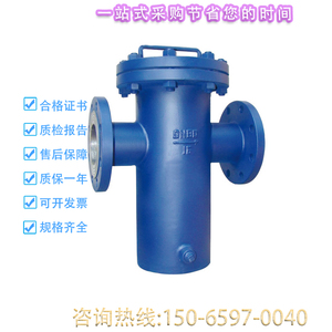 WCB碳钢蓝式过滤器SBG-16/25C法兰直筒提蓝式污水处理器DN80 150