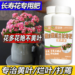 花员外蟹爪兰长寿花蟹爪莲螃蟹兰植物盆栽催花养花肥专用营养液肥