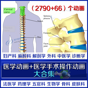 医学动画合集医学动画视频妇科药理微生物皮肤科遗传学诊断学