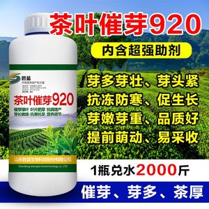 茶叶催芽920茶树专用叶面肥茶叶催芽剂芽多多茶叶猛长茶叶肥料