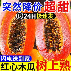 红心牛奶木瓜10斤新鲜水果整箱包邮当季孕妇下奶冰糖青木瓜自然熟