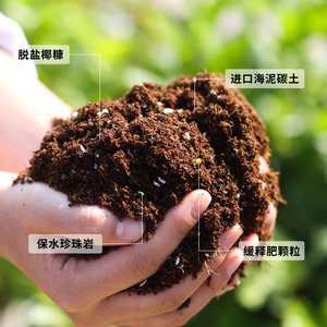 配方营养土养花通用型花土特价通用型多肉蔬菜花盆介质透气种菜土