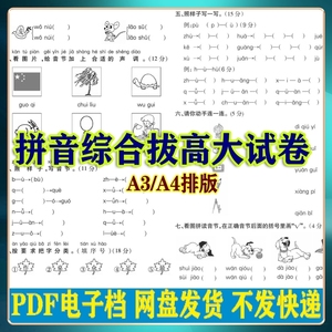 幼小衔接拼音试卷电子版学前一年级拼音综合拔高大试卷考试练习题