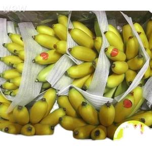 海南三亚皇帝蕉 小米蕉 帝王蕉 新鲜水果苹果香蕉9斤装