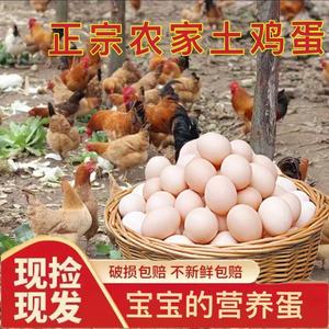 农家散养鲜鸡蛋20枚柴鸡蛋农村笨鸡蛋初生蛋10枚新鲜营养谷物现发