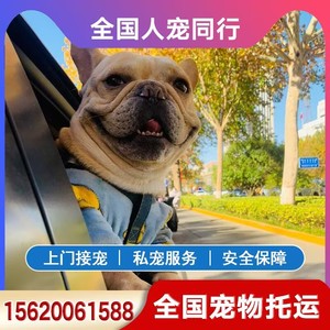 宠物托运服务全国猫咪狗狗空运北京上海广州深圳专车澳门香港邮寄