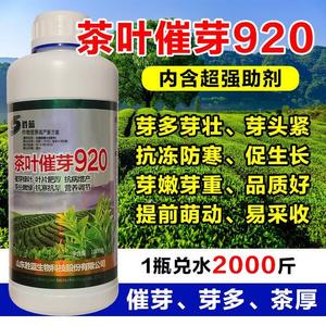 茶叶专用催芽剂茶树茶叶920叶面肥催芽素多芽嫩芽壮茶厚催芽灵