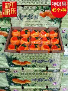 湖北长阳清江岩松坪椪柑特级45个礼盒装橘子芦柑当季新鲜水果现摘